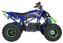 Электроквадроцикл MOTAX E-PENTORA 1500W