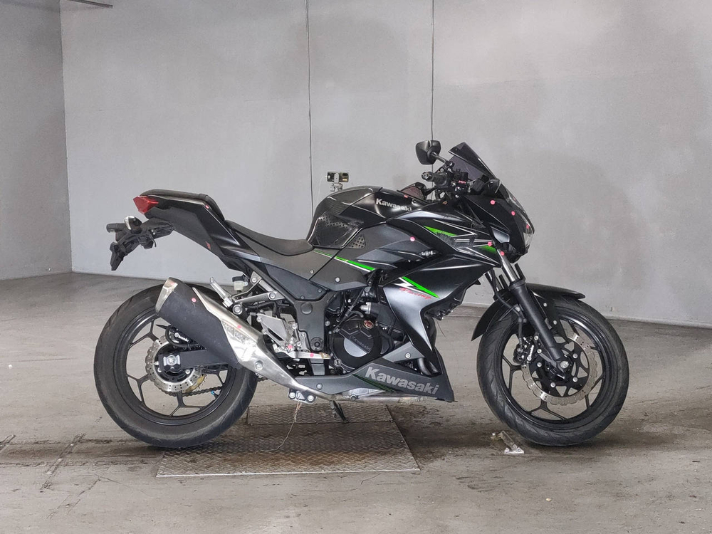 Kawasaki Z250 2013