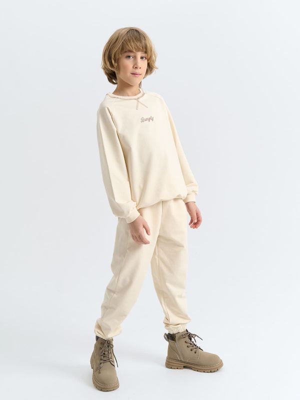 Джоггеры облегченные 