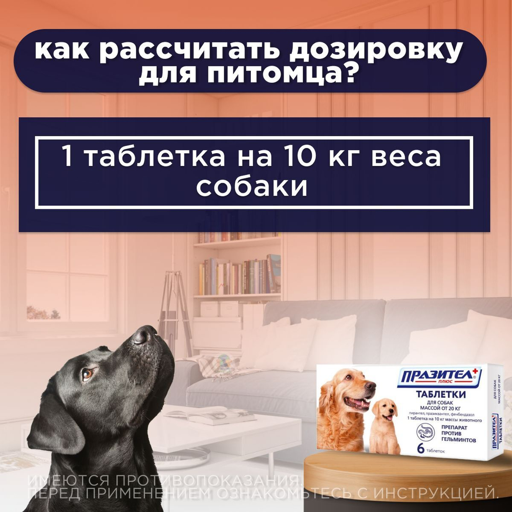 Таблетки от гельминтов для собак более 20кг Празител Плюс, 6 таб. Празиквантел/Пирантел/Фенбендазол