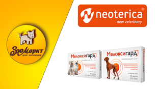 Акция Мелоксигард