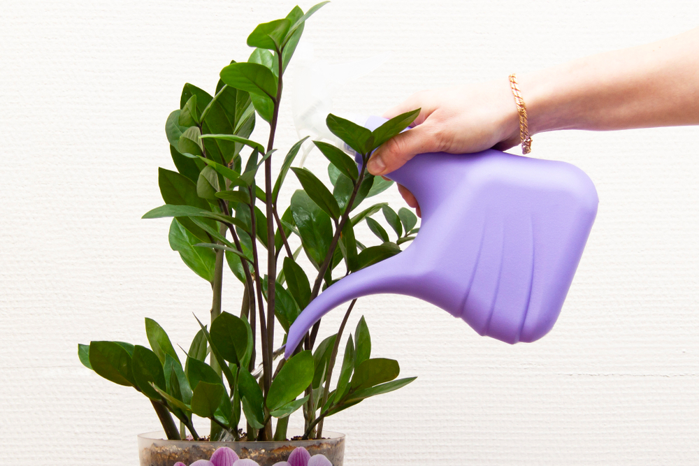 Лейка 1,5л с опрыскивателем М2154