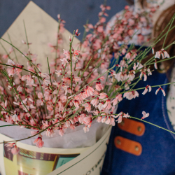 154. Весенний букет из ароматной генисты