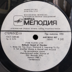 Pink Floyd / Delicate Sound Of Thunder (2LP)