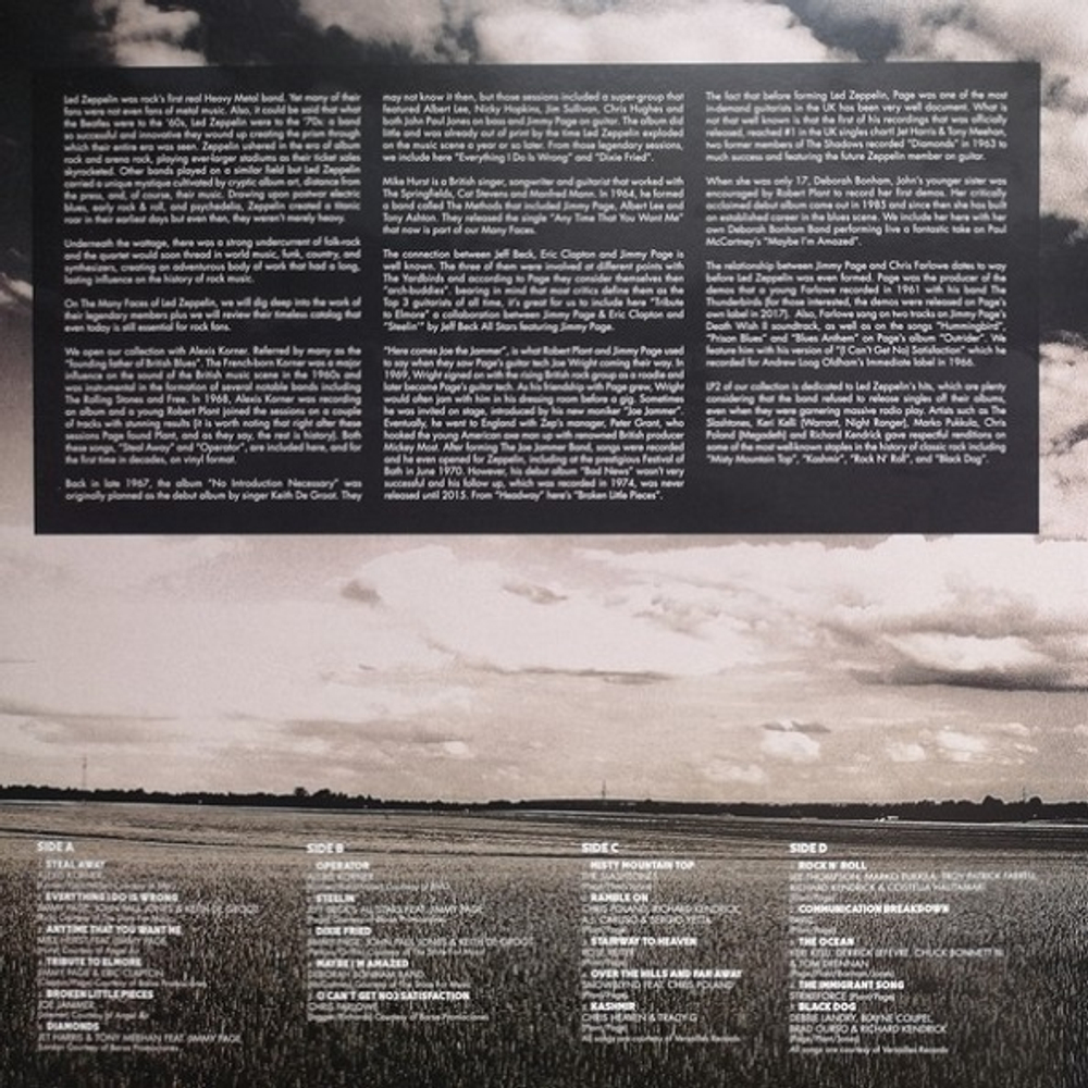 Сборник / The Many Faces Of Led Zeppelin (A Journey Through The Inner World Of Led Zeppelin)(Limited Edition)(Coloured Vinyl)(2LP)