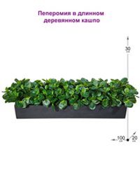 Пеперомия искусственная 100см в черном длинном кашпо