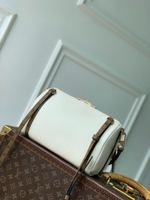 Louis Vuitton Express PM