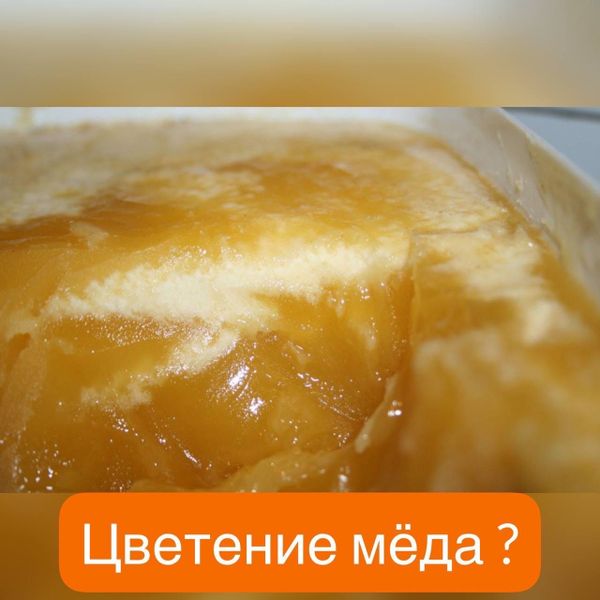 БЕЛАЯ ПЕНКА НА ПОВЕРХНОСТИ МЁДА