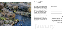 A Year in the Garden. 365 Inspirational Gardens and Garden Tips