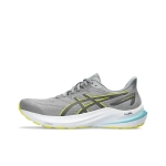 Мужские кроссовки ASICS GT-2000 12 'Sheet Rock Bright Yellow' 1011B691-021
