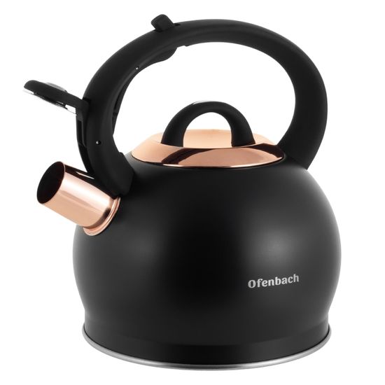 Чайник 2 л. из нержавеющей стали со свистком Ofenbach NB 100312