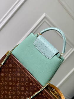 Louis Vuitton Capucines MM