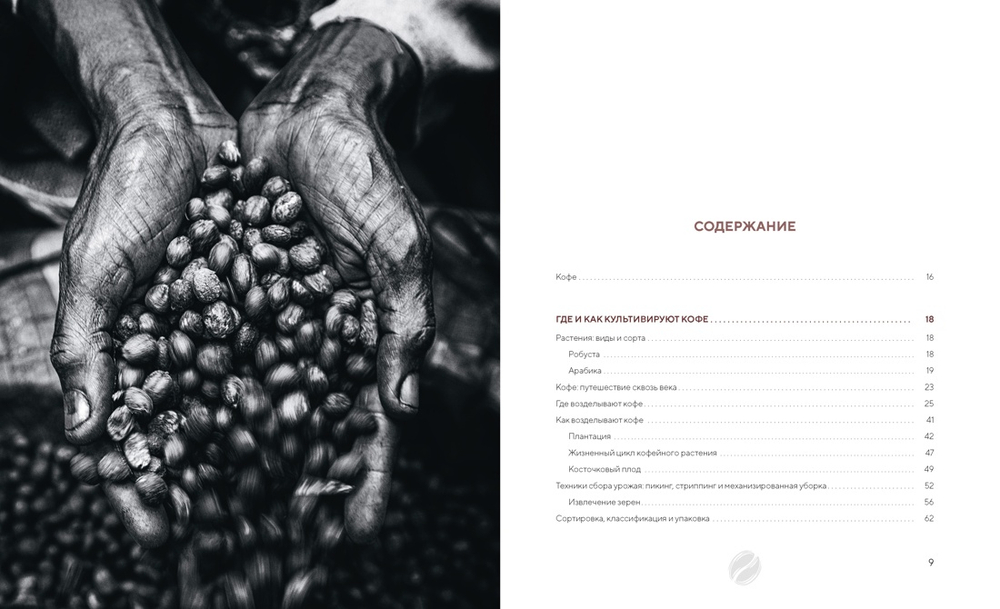 Философия кофе. От зерна до идеального напитка