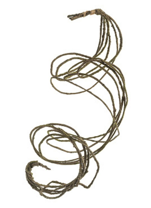 Лоза ветки декоративные (связка 6 шт.)