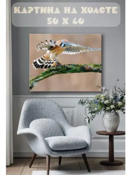 Картина на стену 40 X 50 Птица