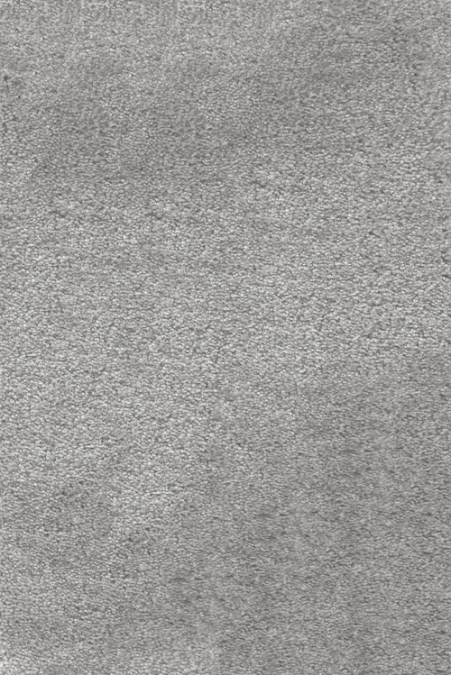 Ковровое покрытие AW Leda 95