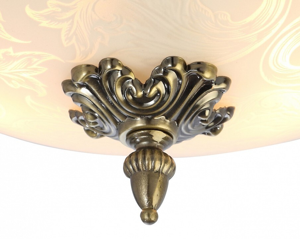 Накладной светильник Arte Lamp A4541PL-3AB