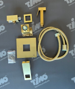 Смеситель встроенный с гигиеническим душем Timo Briana 7189/17SM золото матовое