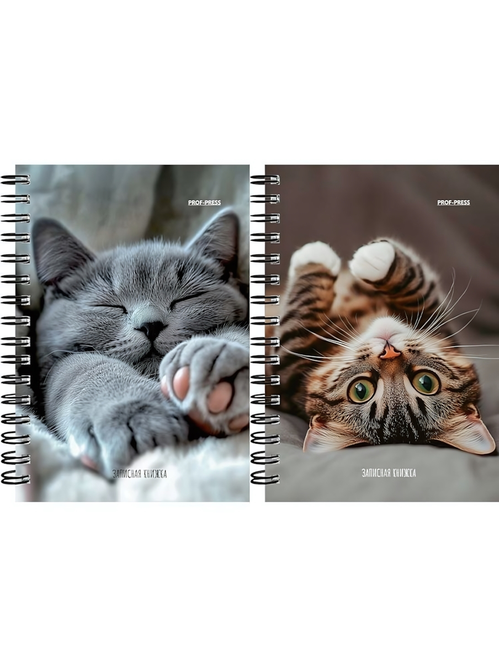 Записная книжка А6 120л. "Милые котики-6" на гребне, мелов.облистер (Проф-Пресс)