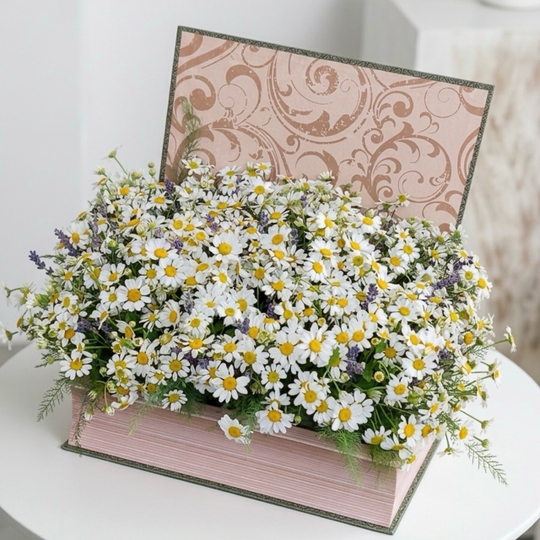 Полевые ромашки в книжке