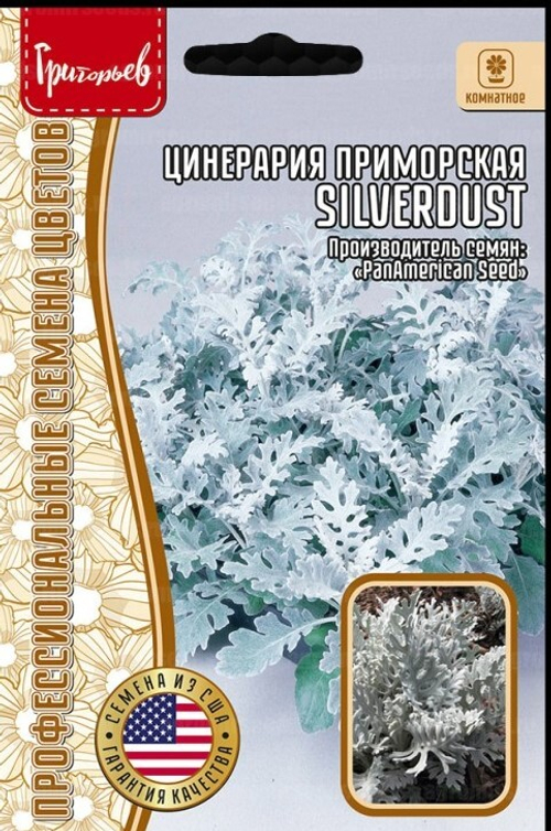 Цинерария Silverdust приморская