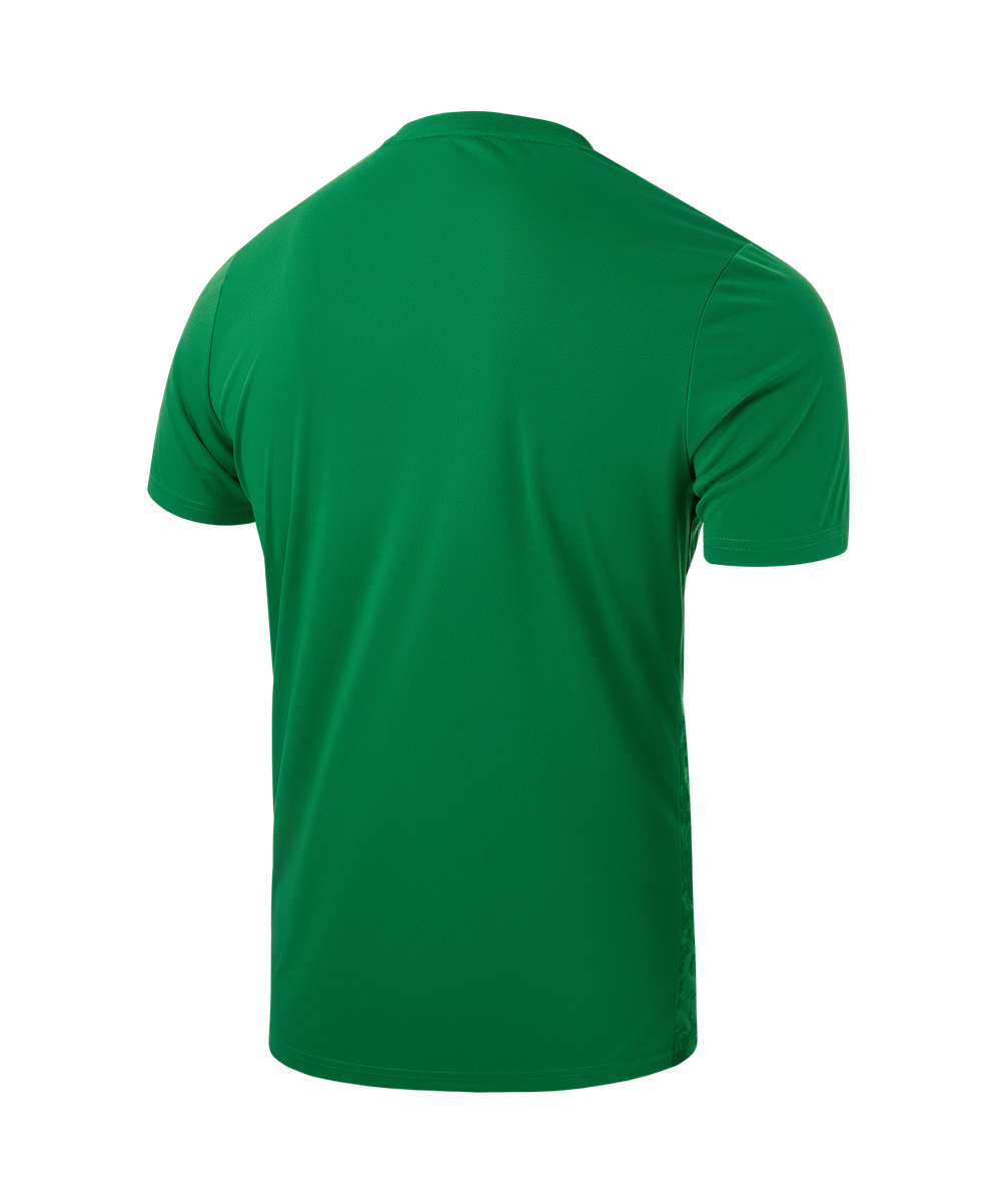 Футболка вратарская DIVISION PerFormDRY SPLASH GK Jersey, зеленый, детский