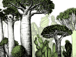 Коллекция ZOO