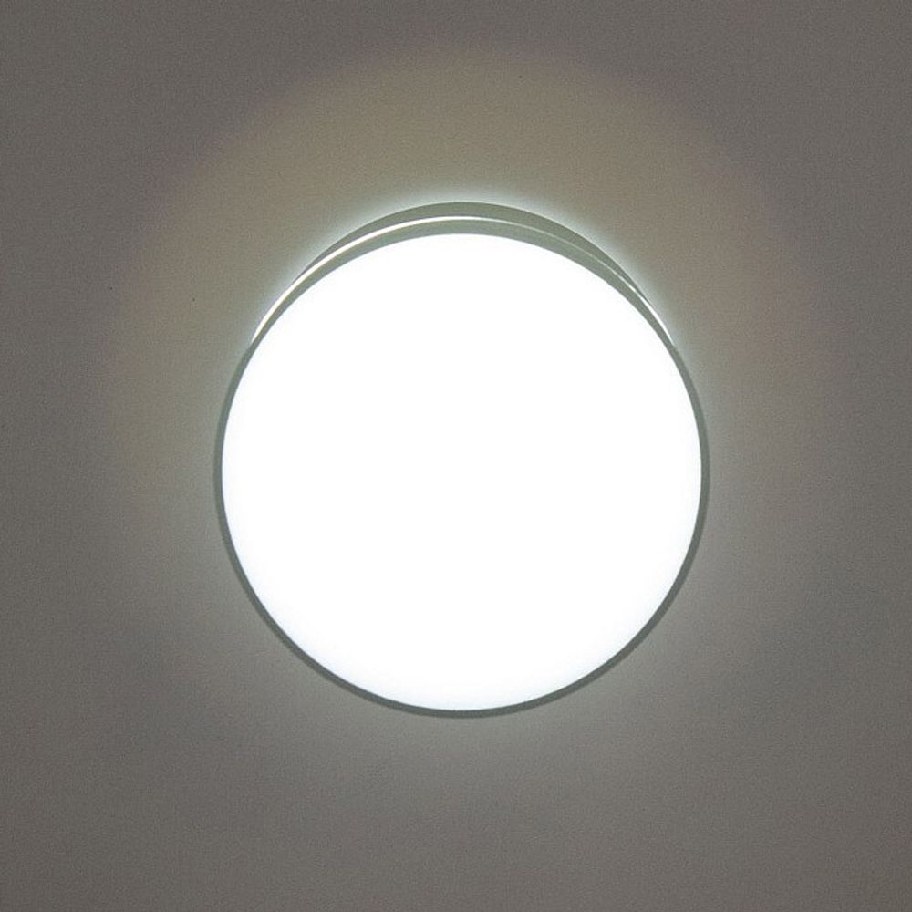 Накладной светильник Citilux Борн CL745011N