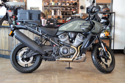Harley-Davidson Pan America 1250 Special Deadwood Green