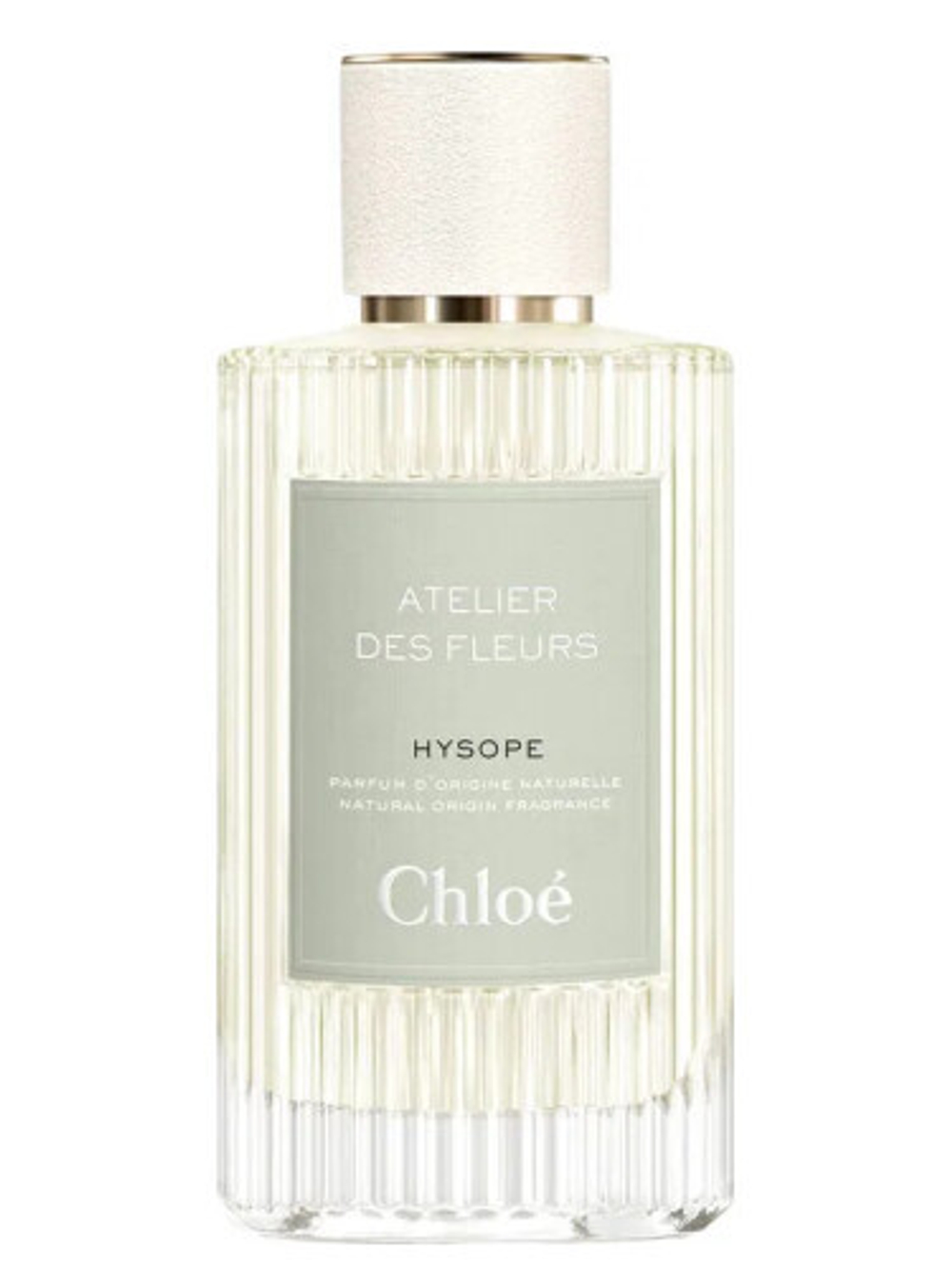 Chloé Hysope