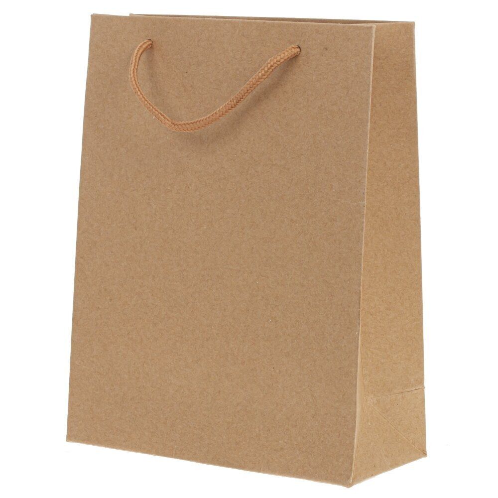 GAEM Пакет подарочный (бумага 210г/м2, блок 12шт), L19/23 W8/10 H24/18 см, 2в.