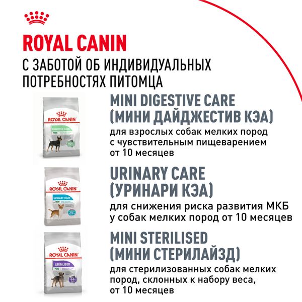 Сухой корм Royal Canin Chihuahua Adult для взрослых собак породы Чихуахуа от 8 месяцев