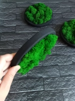 Панно из мха набор 3 шт.