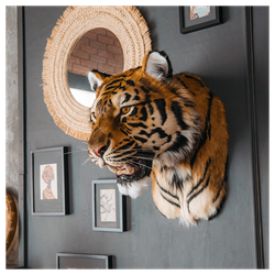 Реплика головы «Амурский тигр»