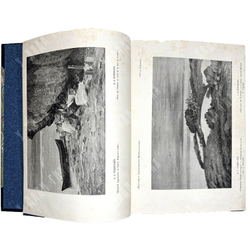 Журнал Искусство и художественная промышленность.  Год. компл.1899-1900г.