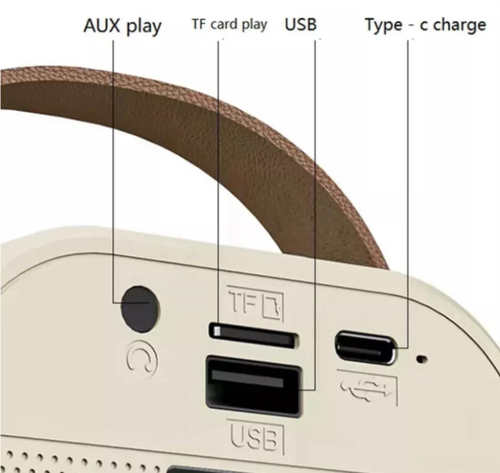 Колонка с микрофоном