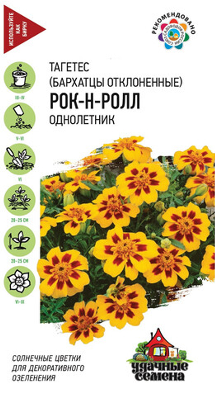 Бархатцы отклоненные Рок-н-ролл