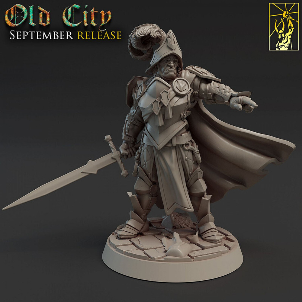 Командир стражи Воин Паладин Рыцарь Grand Alliance Order Cities of Sigmar Captain of the Empire миниатюра для dnd, днд, pathfinder, фентези, Настольная игра, НРИ, Варгейм, РПГ