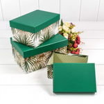 Коробка 22х15х11.5 см Набор 3 шт "Пальмы" (Белый, Зеленый)