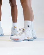 Кроссовки Nike Lebron 19