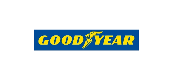 Летняя шина Goodyear Eagle F1 Asymmetric 6 (235/50 R18 101Y)