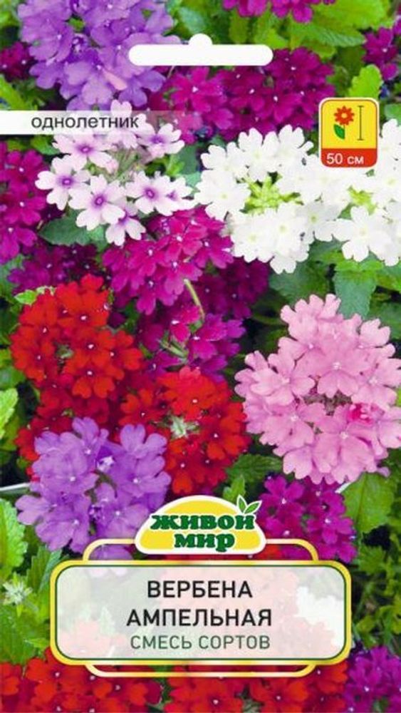 Вербена "ЖМ. Ампельная" 0.2г., Польша. Вербена "ЖМ. Ампельная" 0.2г., Польша.