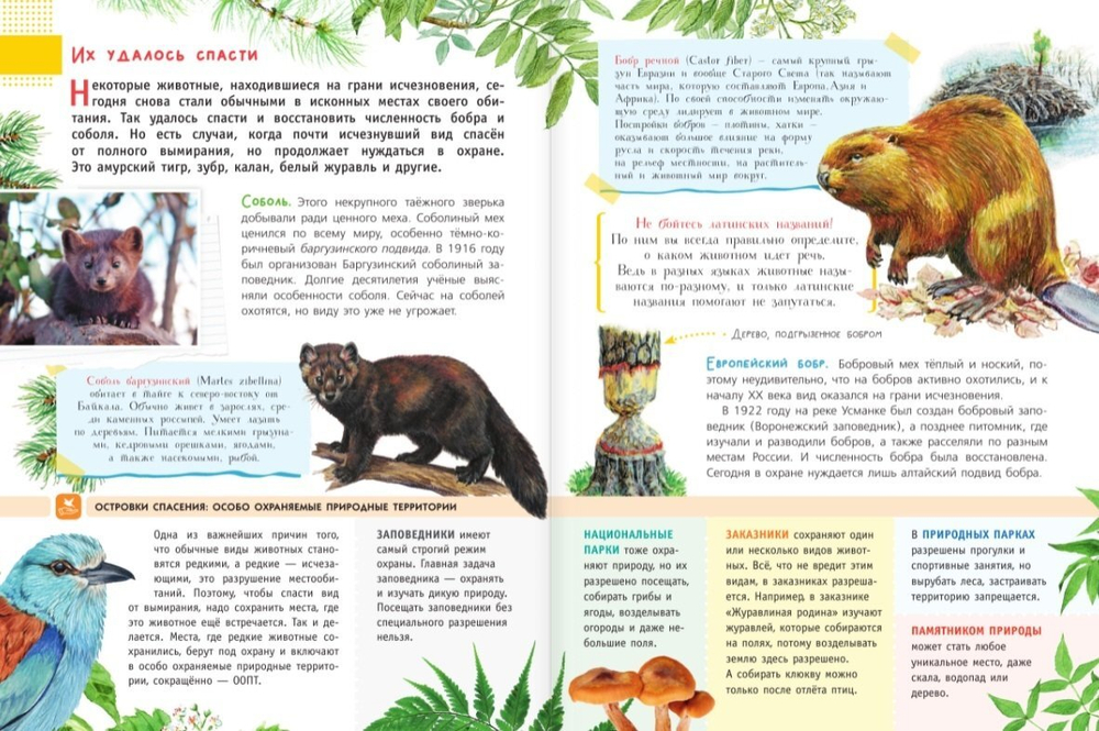 Красная книга для детей
