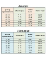 Худи удлиненная утепленная с начесом с двойным капюшоном