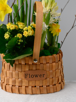 Аромат солнца