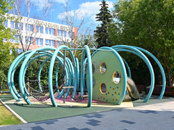 Игровой комплекс Осьминог