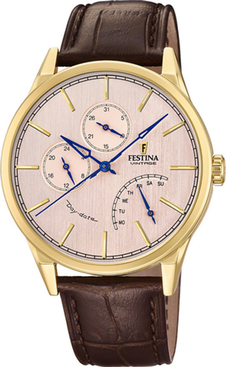 Мужские наручные часы Festina F20279/3