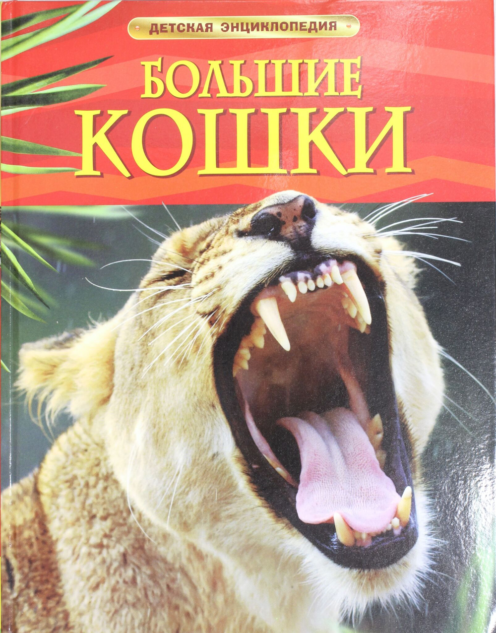 Большие кошки.