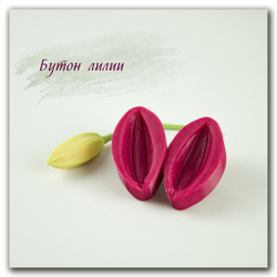 силиконовый молд бутона лилии