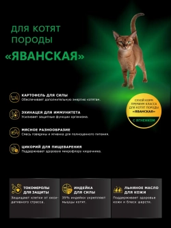 Корм для котят породы Яванская, с ягненком, 2 кг